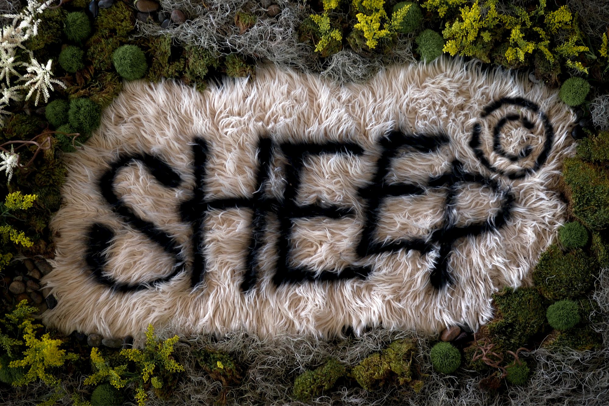 Aerial view of a furry, mossy patch arranged to spell &ldquo;SHEEP&rdquo; in dark letters, with surrounding greenery.
