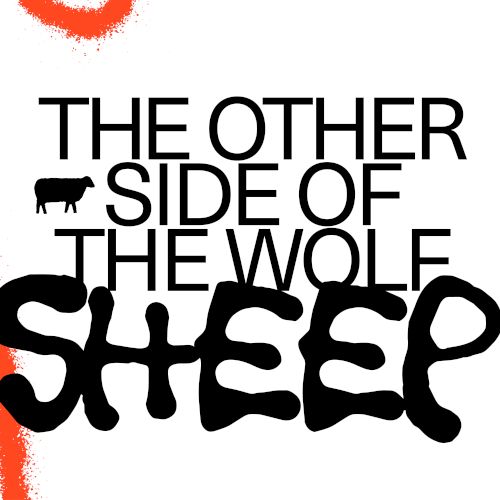 The image shows text reading "THE OTHER SIDE OF THE WHOLE SHEEP" with a small cow icon and a bold, stylized "SHEEP" logo, plus an orange design element.