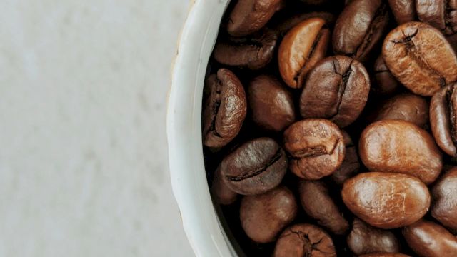 Roasted coffee beans are spilling from a white container.