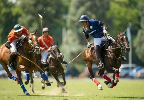 Two polo players in helmets ride horses and swing mallets at a ball during an outdoor match, with others chasing in the background.