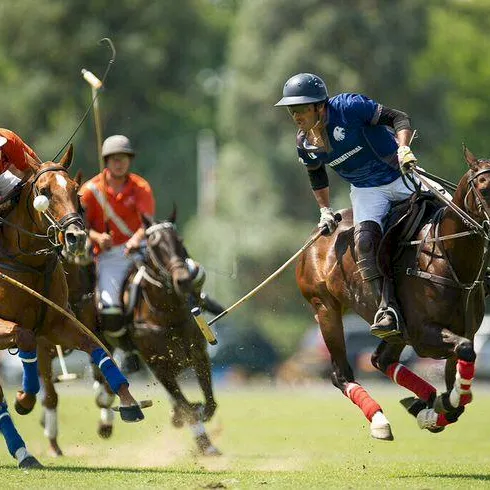 Two polo players in helmets ride horses and swing mallets at a ball during an outdoor match, with others chasing in the background.