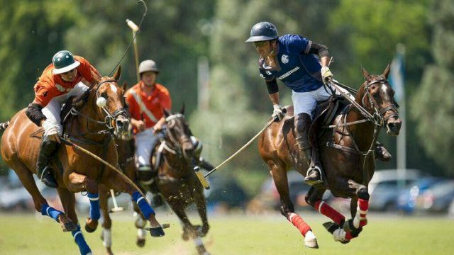 Two polo players in helmets ride horses and swing mallets at a ball during an outdoor match, with others chasing in the background.