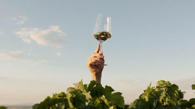 A person holds a small goblet above grapevines at sunset, with a clear blue sky behind them.