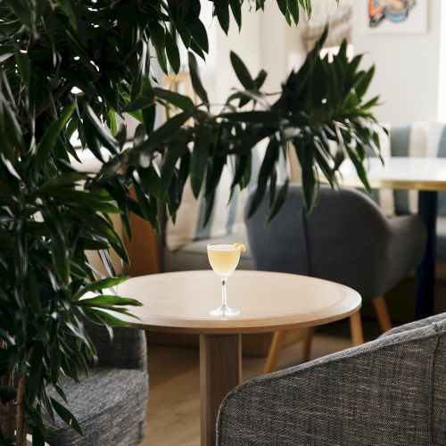 A cozy indoor lounge with lush plants, a small wooden table, a glass of yellow drink, and gray upholstered chairs.