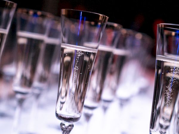 A row of tall, slender champagne flutes filled with sparkling water or bubbles, glistening under bright lights.