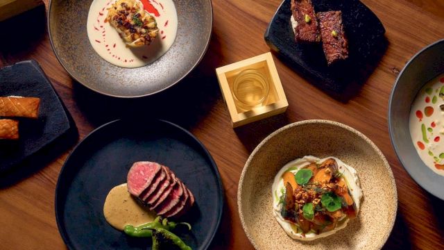 A stylish spread of plated dishes on dark plates, featuring sliced meat, a p&acirc;t&eacute; or crostini, a creamy risotto or sauce, and garnish, with a wooden surface backdrop.